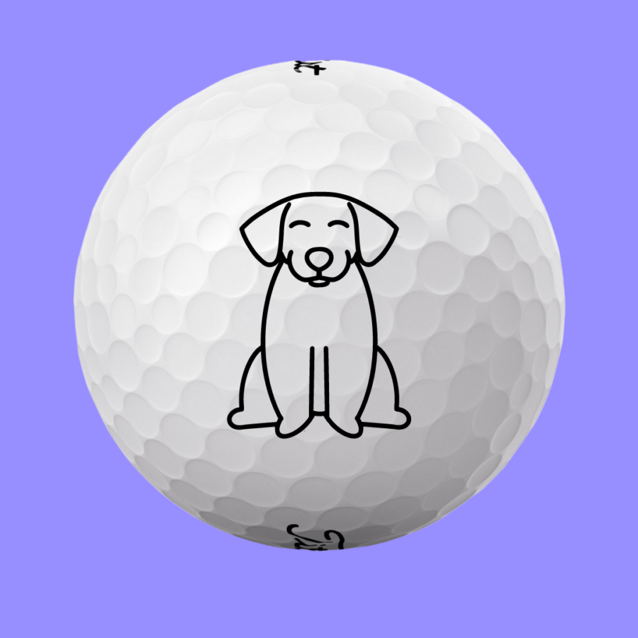Golfbolde med hund