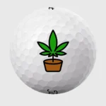 Golfbolde med potteplante